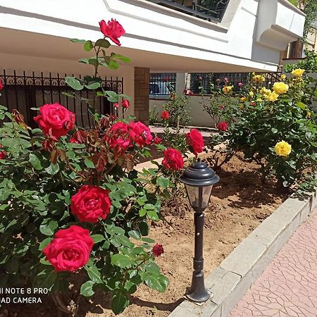 Olga'S Apartments Olympus And Garden View ネア・ミカニオーナ エクステリア 写真