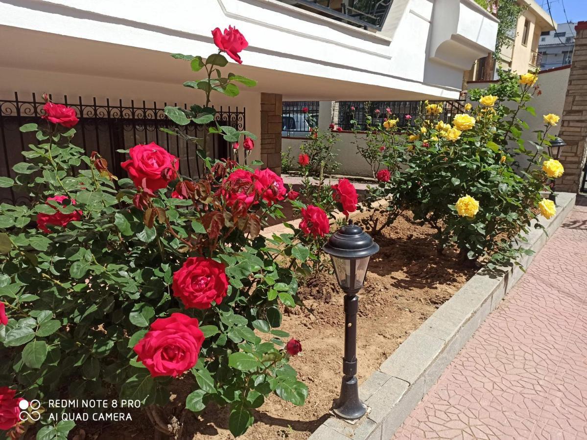 Olga'S Apartments Olympus And Garden View ネア・ミカニオーナ エクステリア 写真