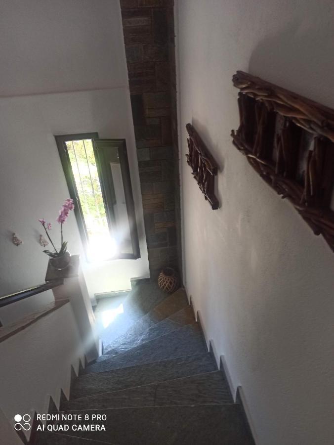 Olga'S Apartments Olympus And Garden View ネア・ミカニオーナ エクステリア 写真