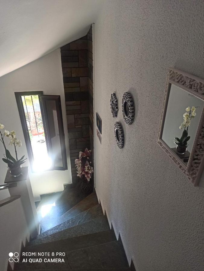 Olga'S Apartments Olympus And Garden View ネア・ミカニオーナ エクステリア 写真