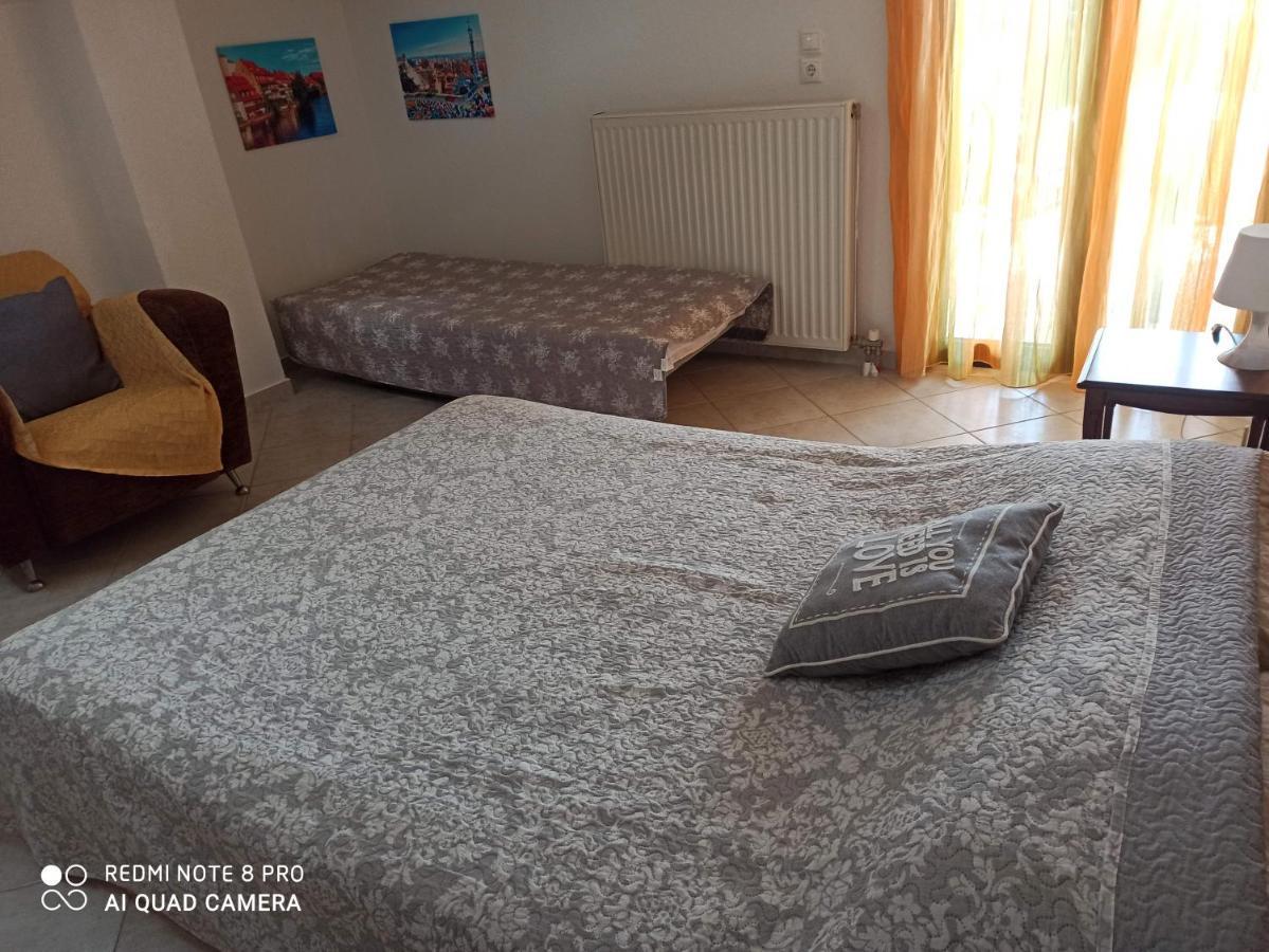 Olga'S Apartments Olympus And Garden View ネア・ミカニオーナ エクステリア 写真