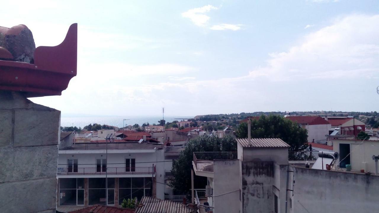 Olga'S Apartments Olympus And Garden View ネア・ミカニオーナ エクステリア 写真