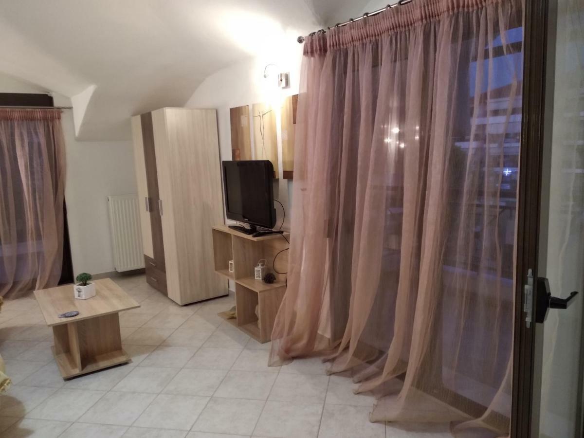 Olga'S Apartments Olympus And Garden View ネア・ミカニオーナ エクステリア 写真