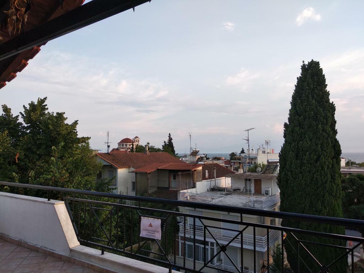 Olga'S Apartments Olympus And Garden View ネア・ミカニオーナ エクステリア 写真